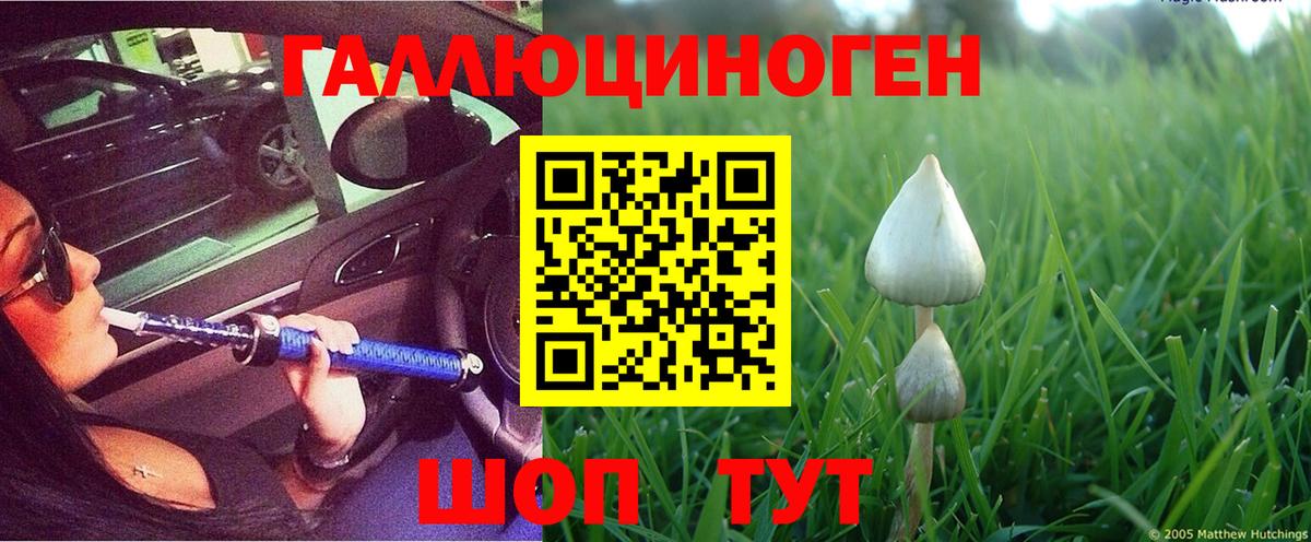 Комсомольск-на-Амуре  Псилоцибиновые грибы Magic Shrooms  Вход с VPN  Псилоцибиновые грибы Cubensis 