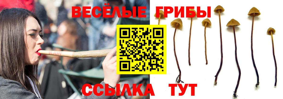 Галлюциногенные грибы мицелий Комсомольск-на-Амуре